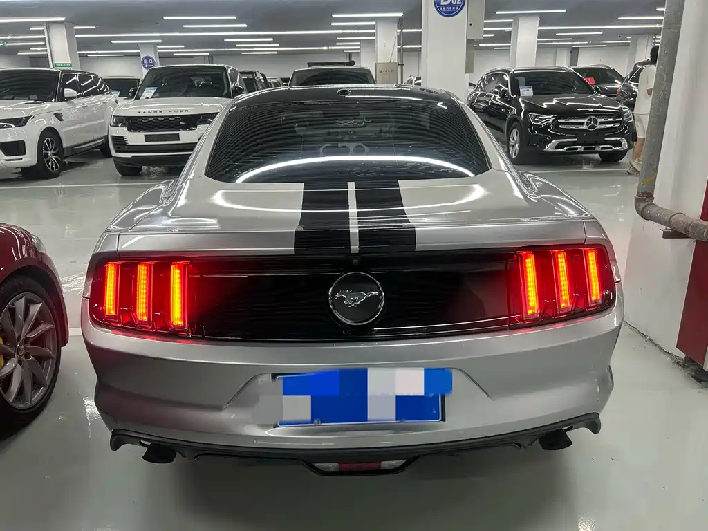 Ford Mustang — миниатюра 21