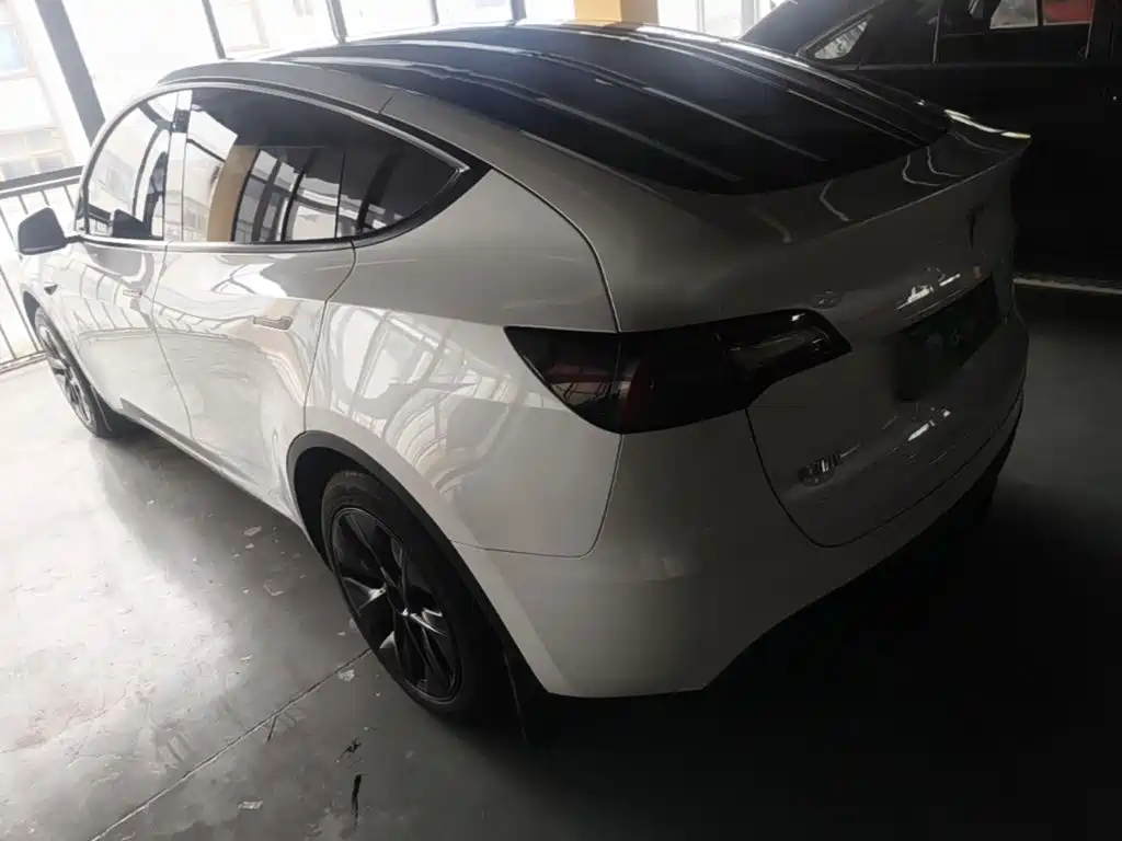 Tesla Model Y — миниатюра 5