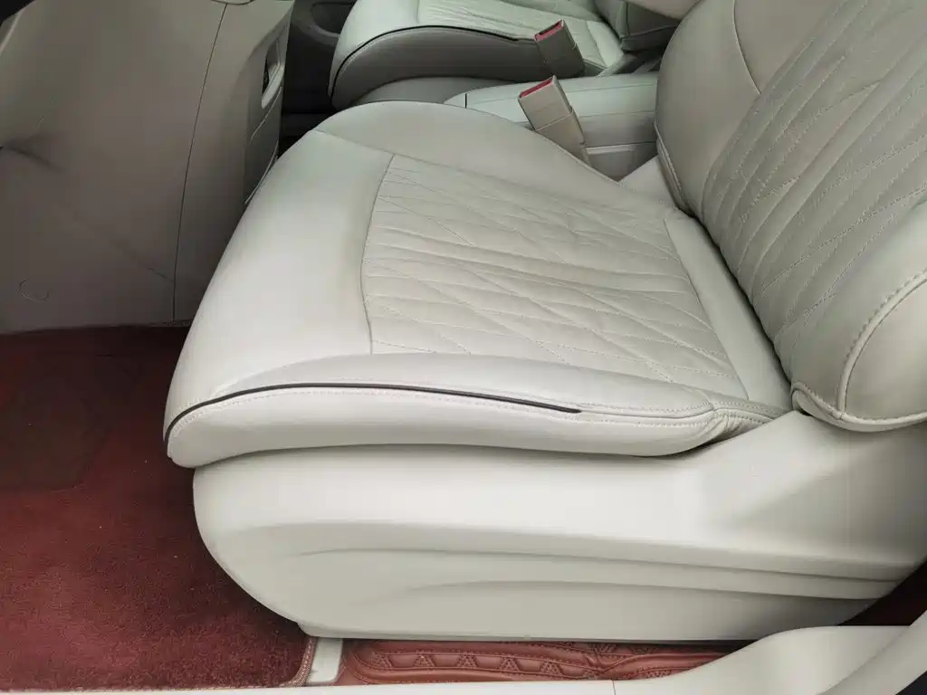 Buick GL8 — миниатюра 20