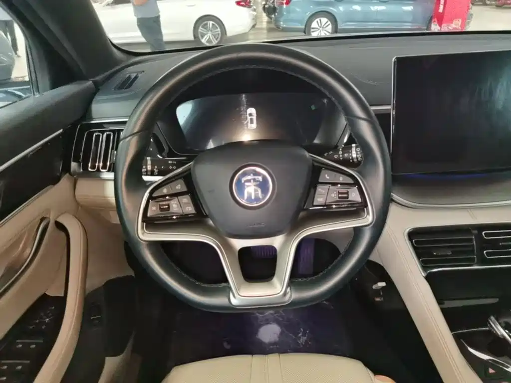 BYD PLUS New Energy — миниатюра 11