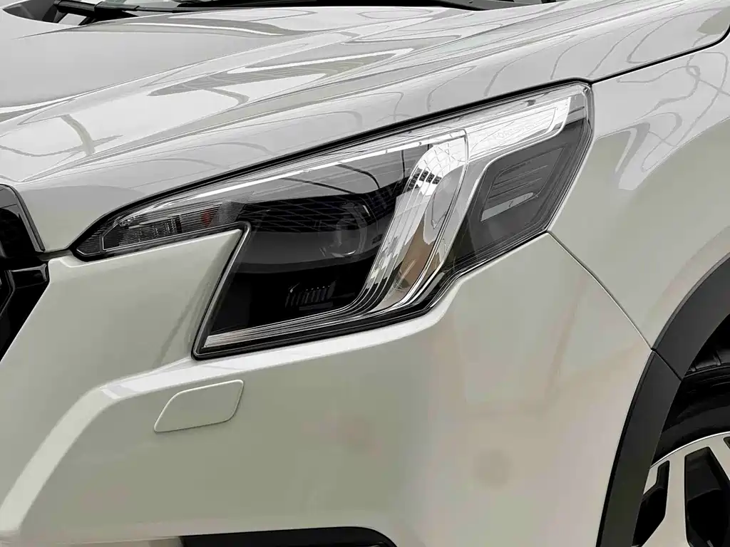 Subaru Forester — миниатюра 19