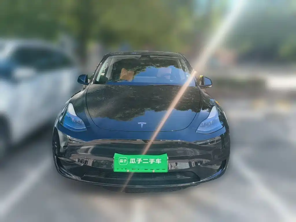 Tesla Model Y — миниатюра 2