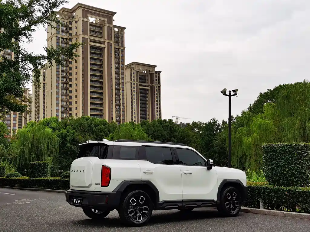 Haval Cool Dog — миниатюра 4
