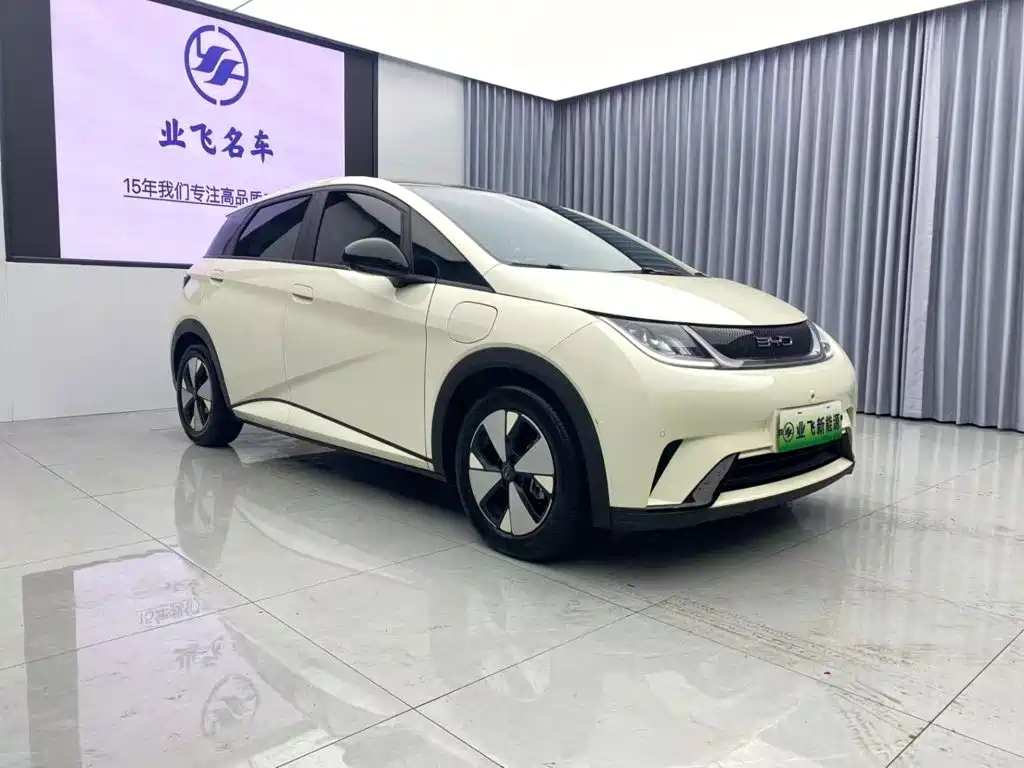 BYD Dolphin — миниатюра 3