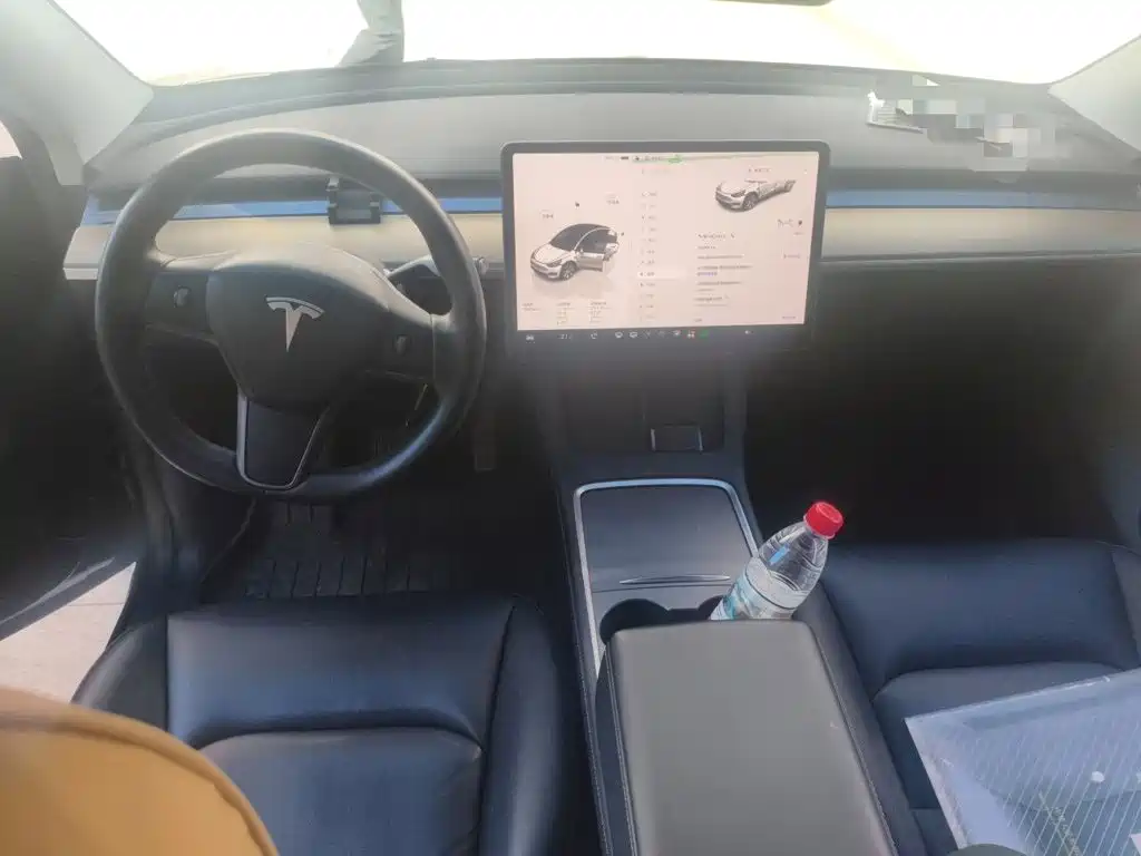 Tesla Model Y — миниатюра 10