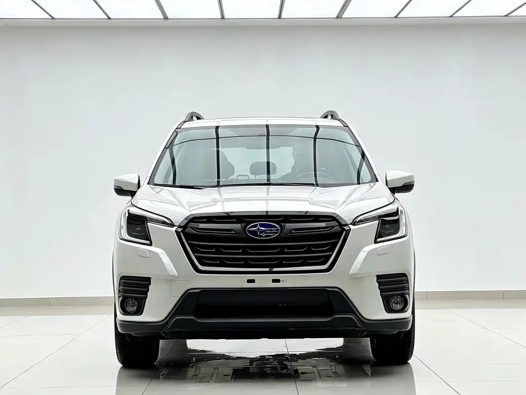 Subaru Forester — миниатюра 2