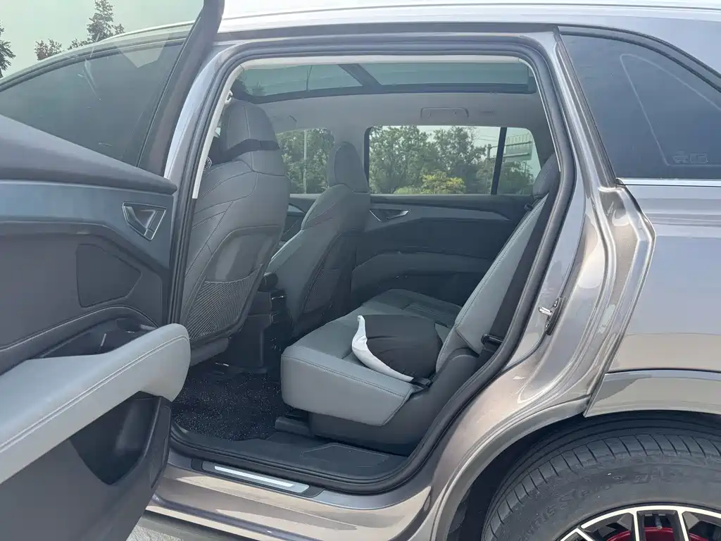Audi Q5 e-tron — миниатюра 5