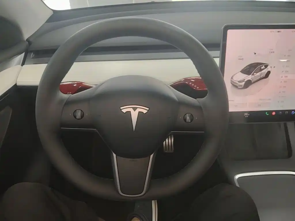 Tesla Model Y — миниатюра 11