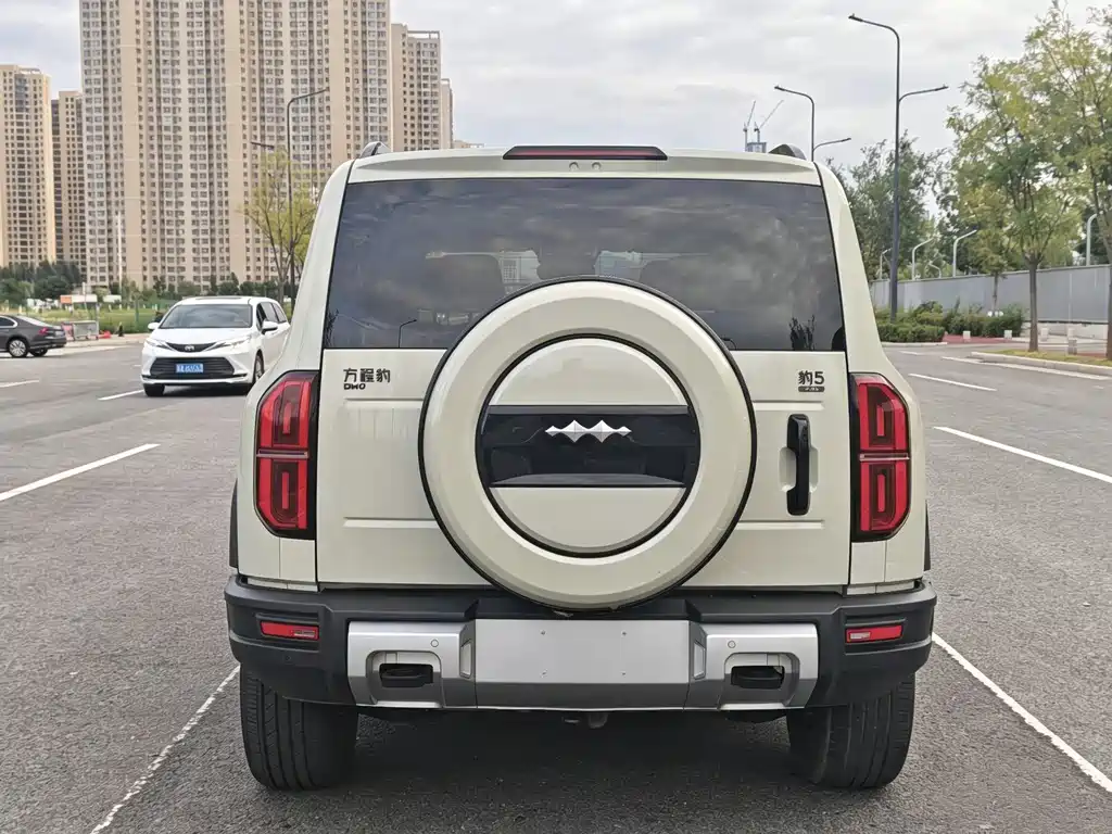 Fang Cheng Bao Leopard 5 — миниатюра 21