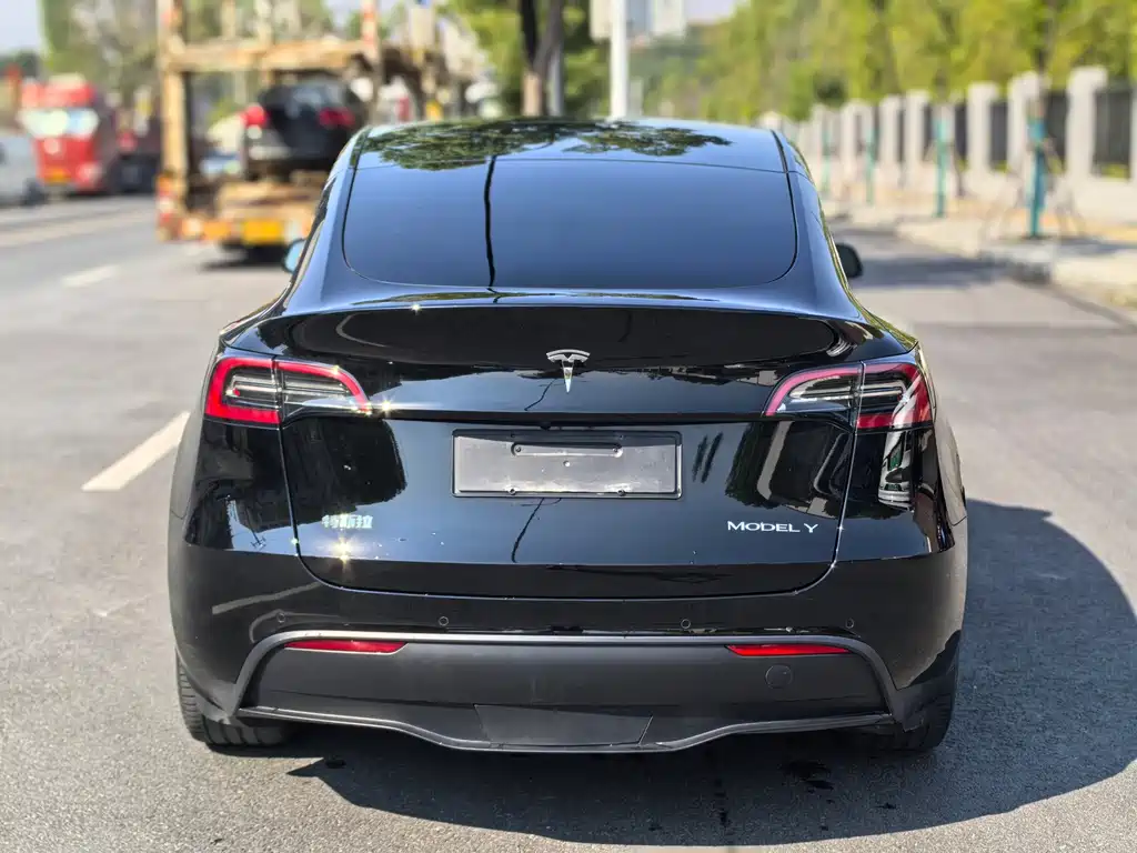 Tesla Model Y — миниатюра 8