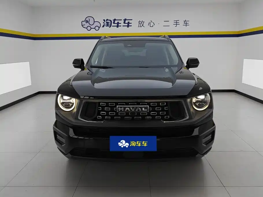 Haval Big Dog PLUS — миниатюра 2