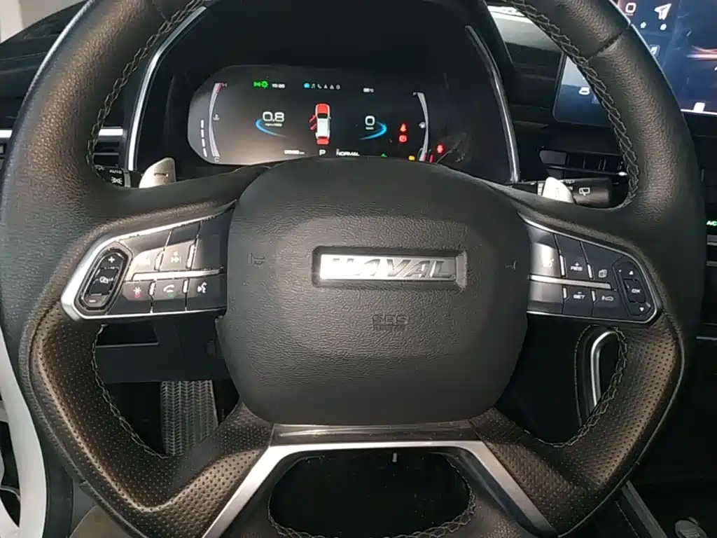 Haval H6 — миниатюра 11
