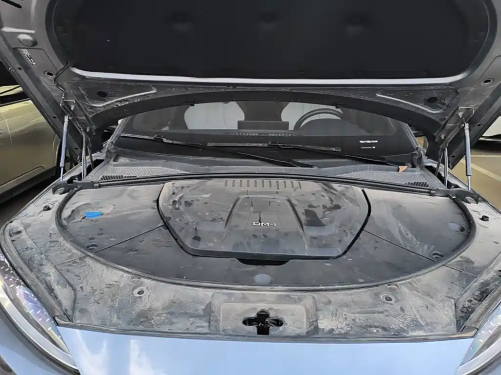 BYD PLUS New Energy — миниатюра 20