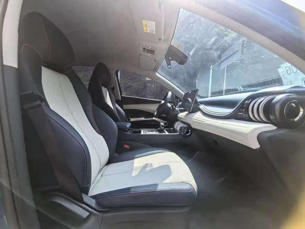BYD Yuan Plus — миниатюра 15