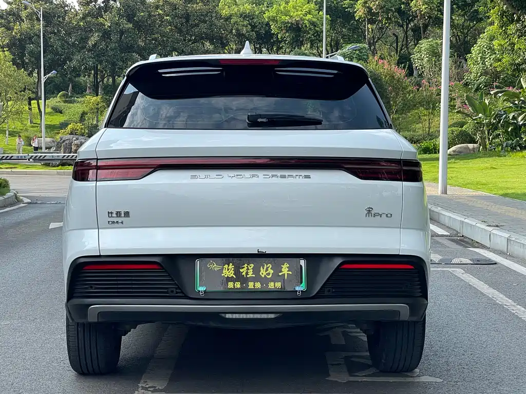 BYD Pro New Energy — миниатюра 6