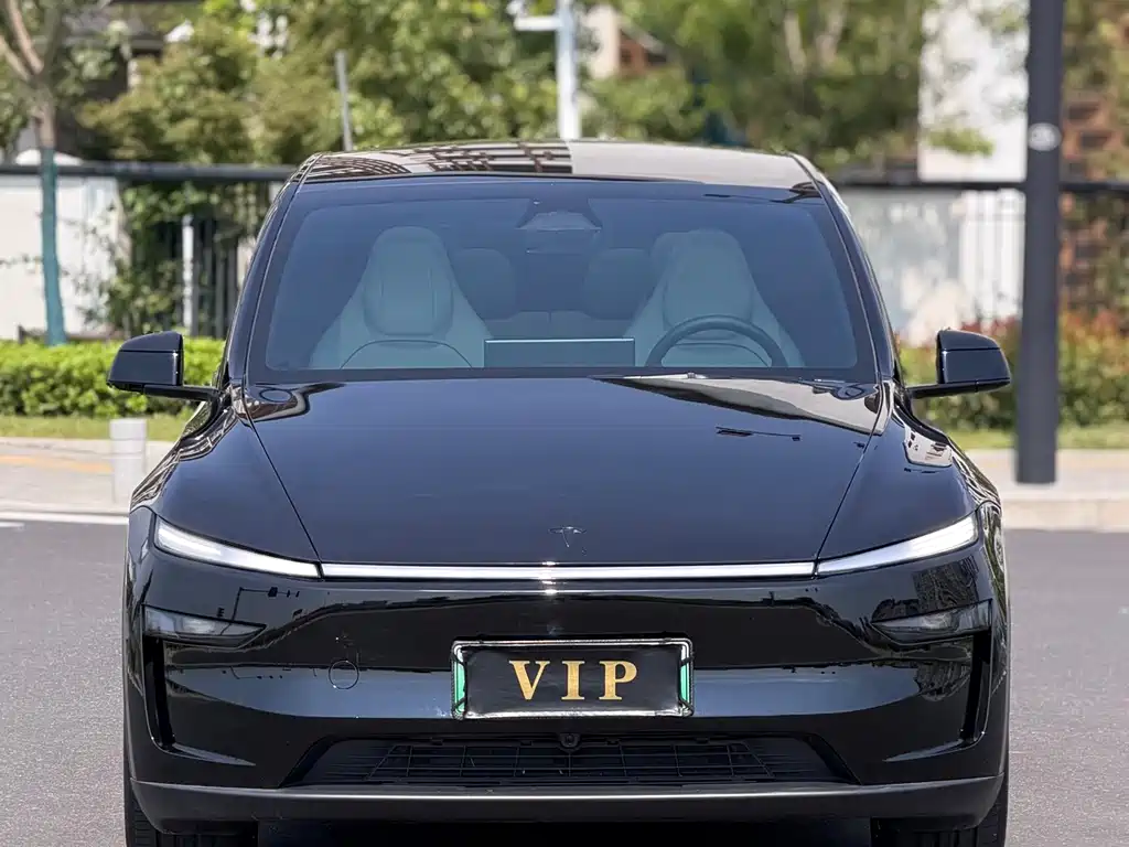 Tesla Model Y L — миниатюра 2