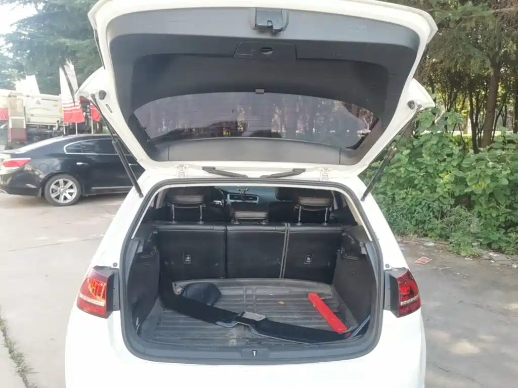 Volkswagen Golf — миниатюра 19