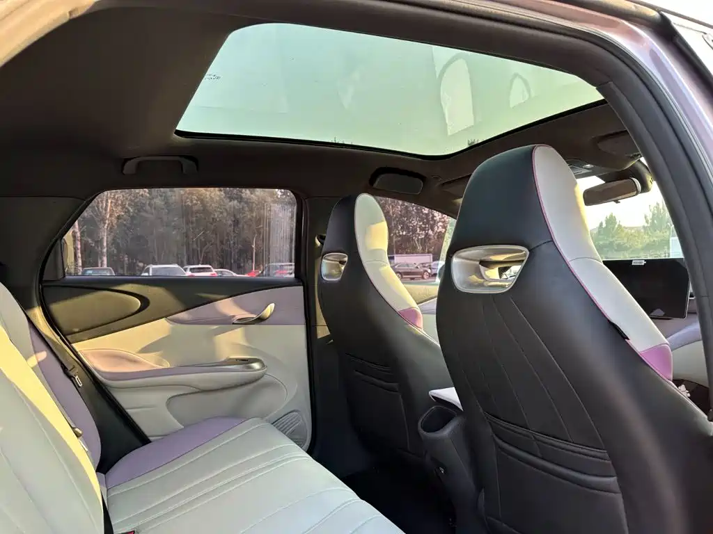 BYD Dolphin — миниатюра 18