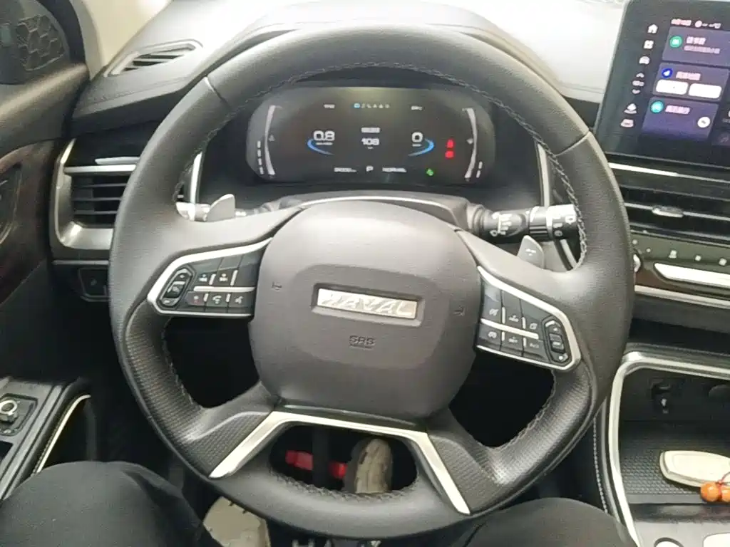 Haval H6 — миниатюра 11