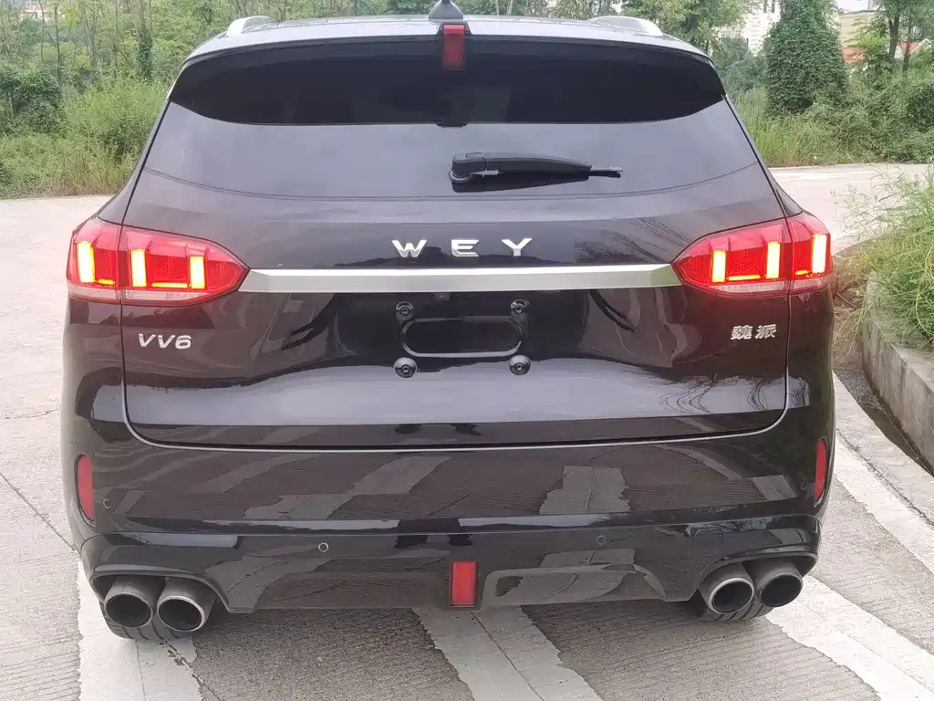 Wey Wey VV6 — миниатюра 6