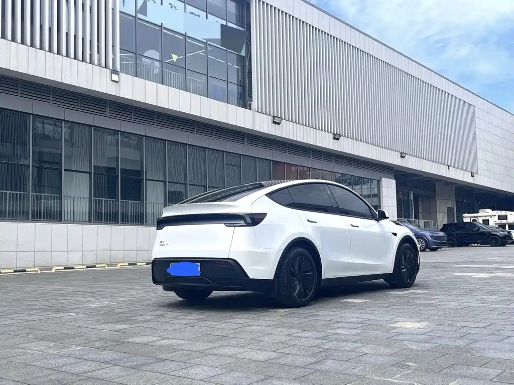 Tesla Model Y — миниатюра 4