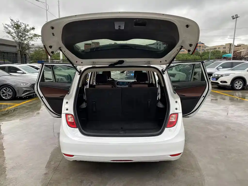 Buick GL6 — миниатюра 8