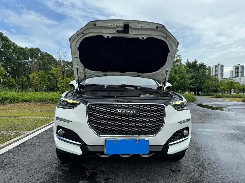 Haval F5 — миниатюра 4