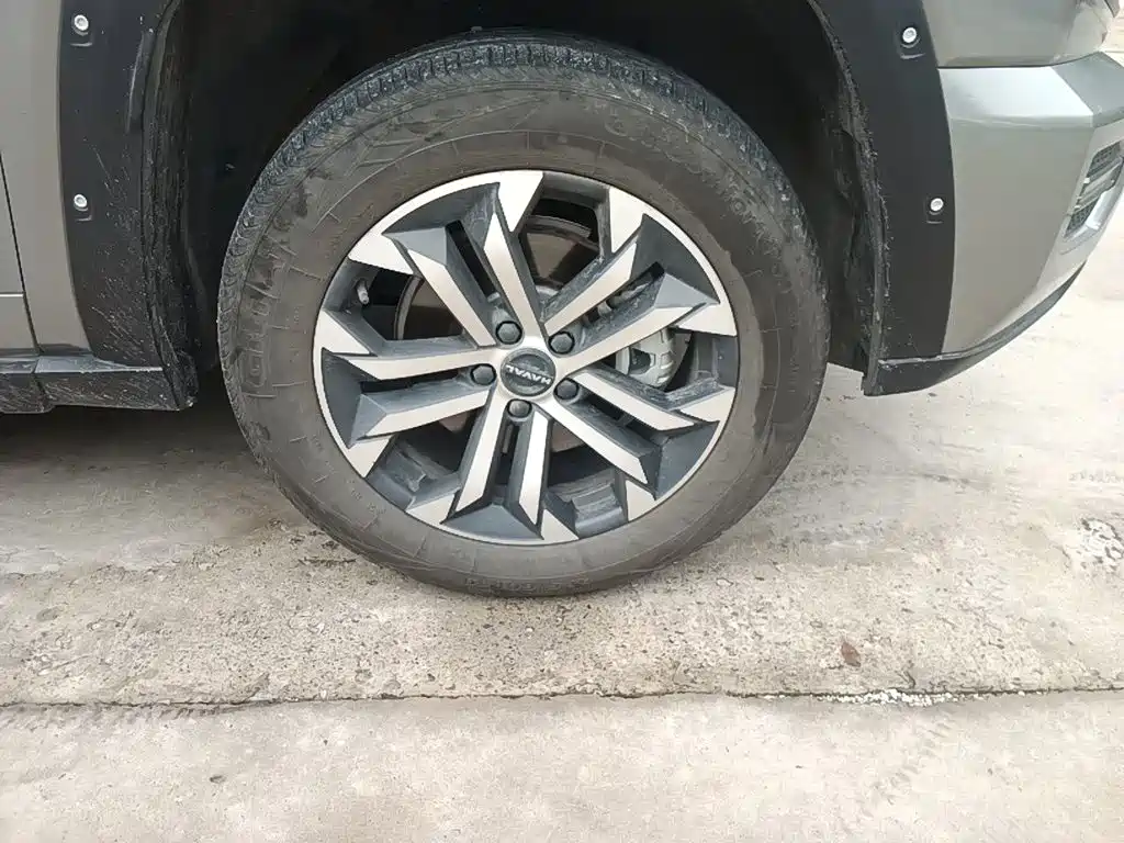 Haval Haval Big Dog PLUS — миниатюра 24