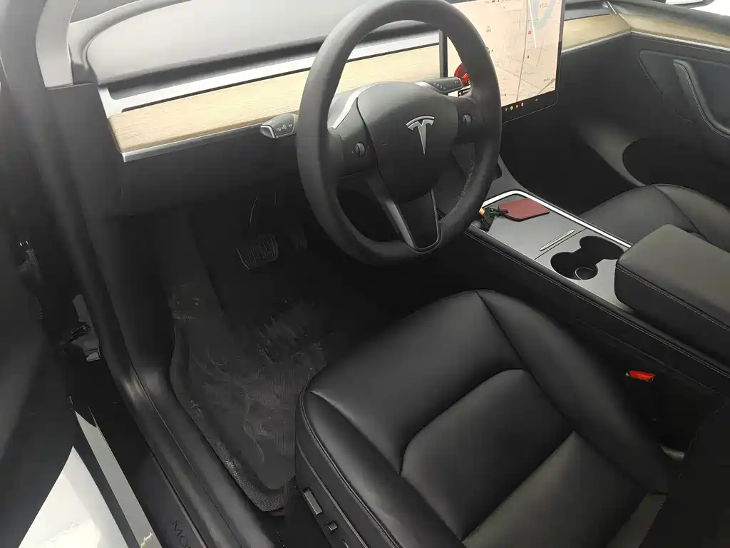 Tesla Model Y — миниатюра 11