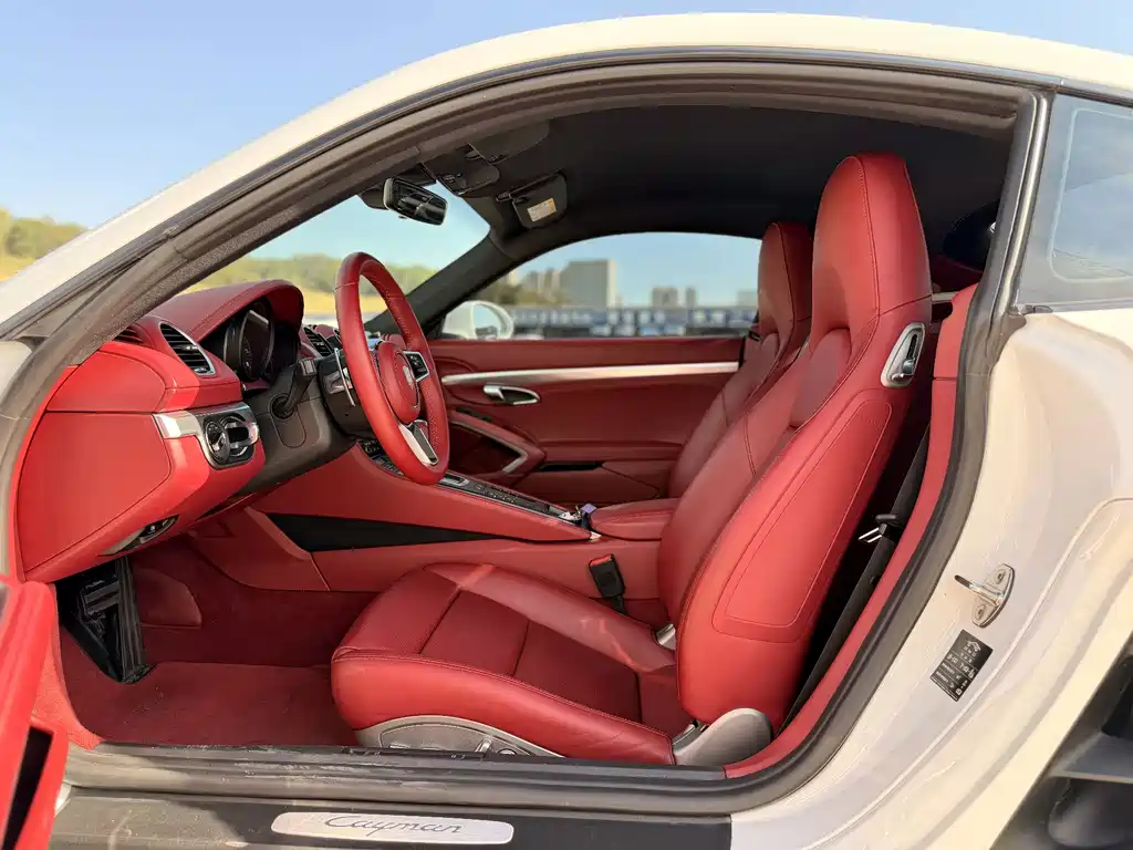 Porsche 718 — миниатюра 8