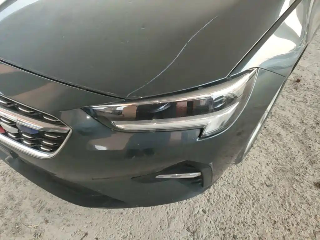 Buick Regal — миниатюра 24