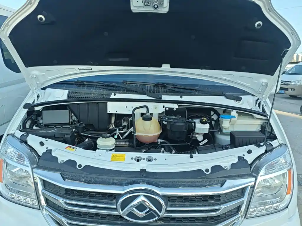 Maxus V80 — миниатюра 20