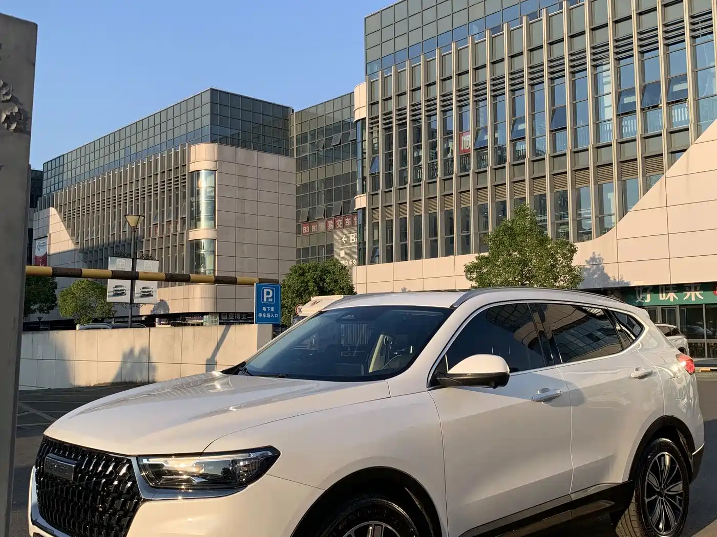 Haval H6 National Trend Edition 1.5T Automatic Champion Edition