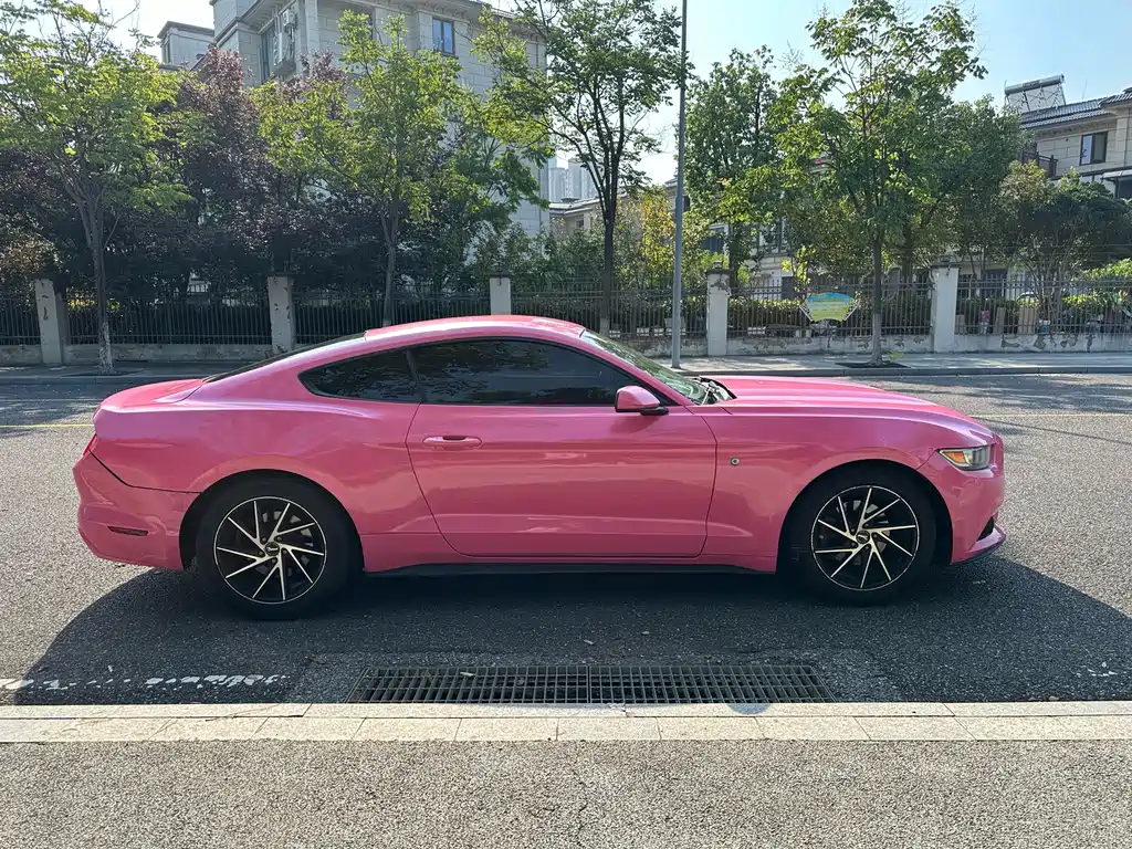 Ford Mustang — миниатюра 4