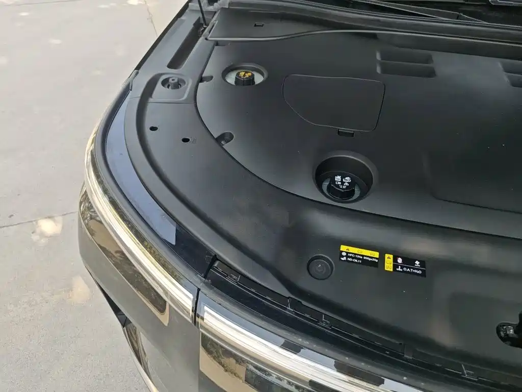 GAC Motor Trumpchi Xiangwang S9 — миниатюра 20