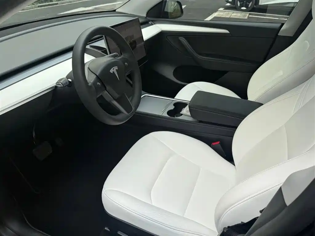 Tesla Model Y — миниатюра 4