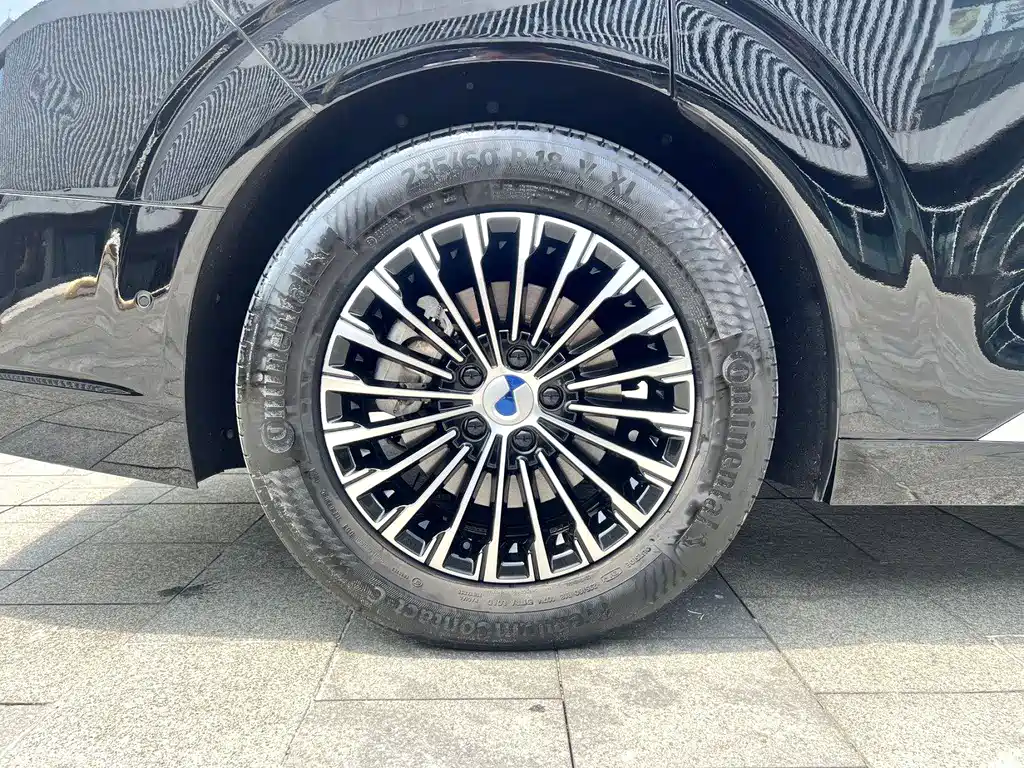 Denza Denza D9 — миниатюра 12