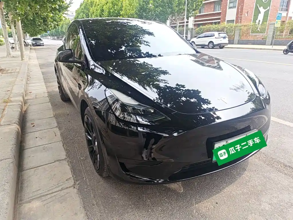 Tesla Model Y — миниатюра 4