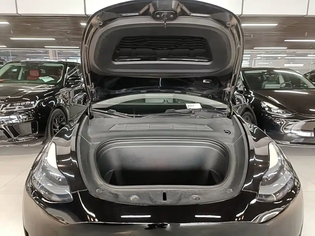 Tesla Model Y — миниатюра 20