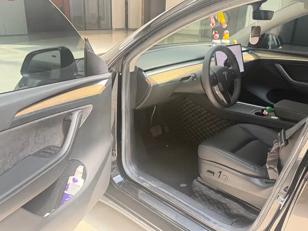 Tesla Model Y — миниатюра 9