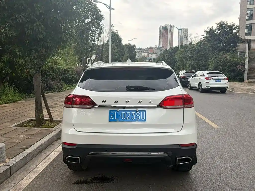 Haval H6 — миниатюра 8