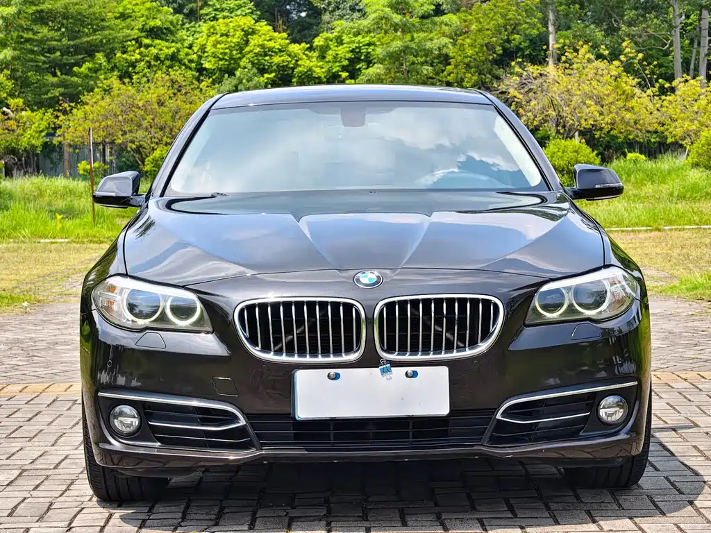 BMW 5 Series — миниатюра 2