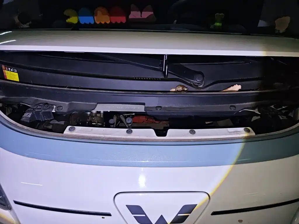 Wuling Nano EV — миниатюра 16