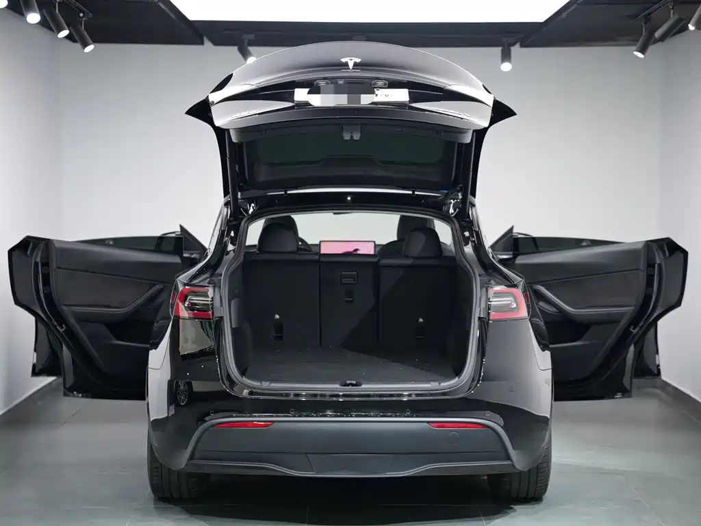 Tesla Model Y — миниатюра 14