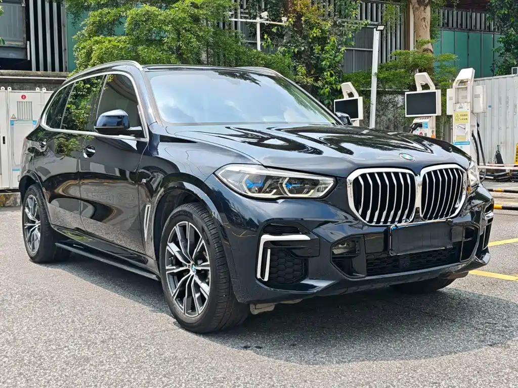 BMW X5 — миниатюра 3