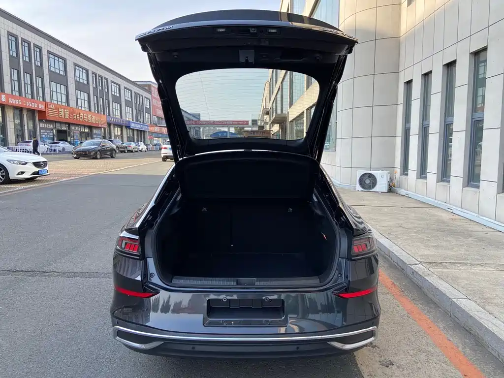 Volkswagen Lamando — миниатюра 7