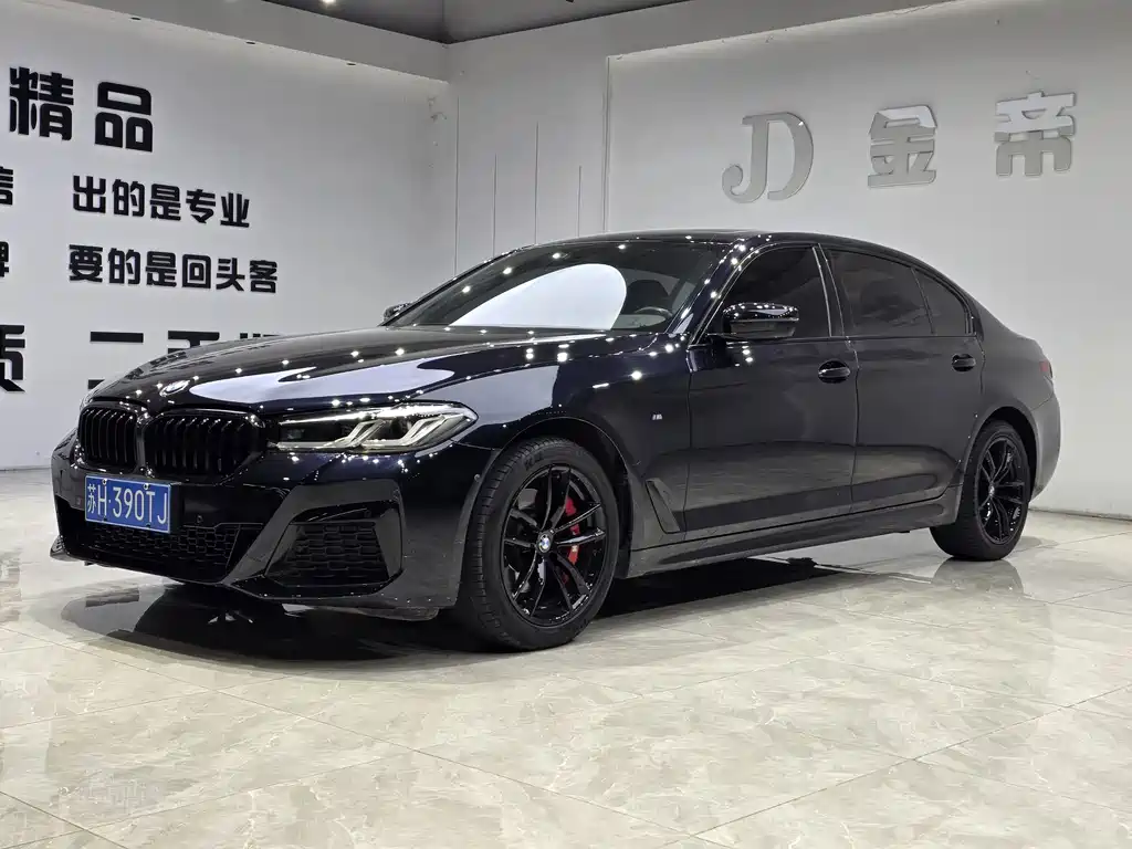 BMW 5 Series 2019
