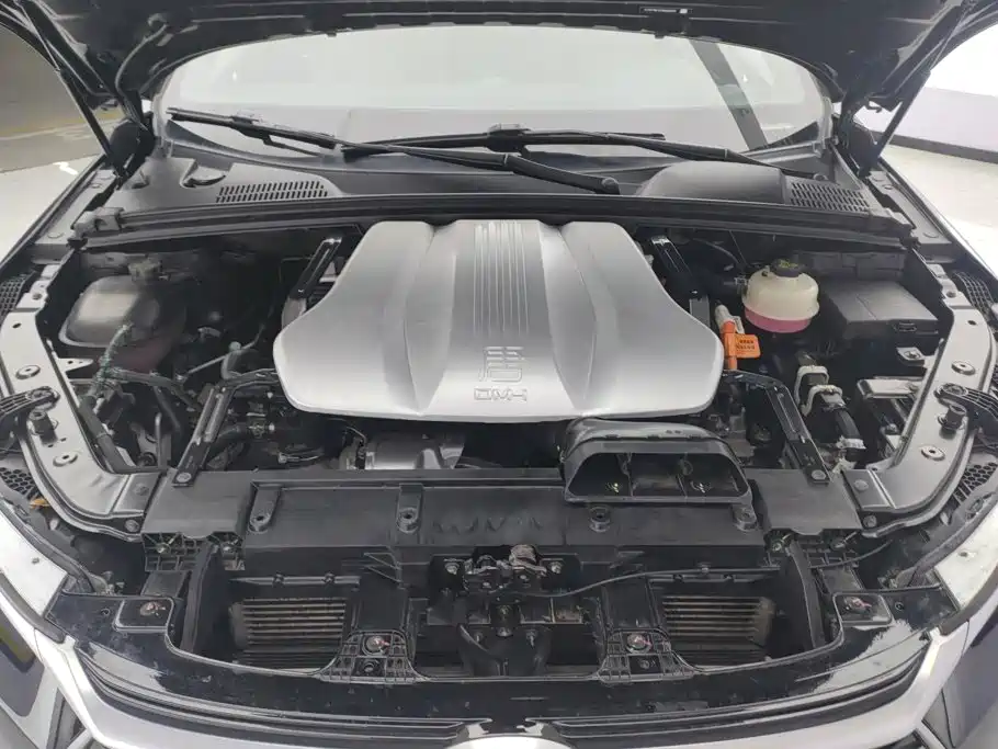 BYD Tang New Energy — миниатюра 10