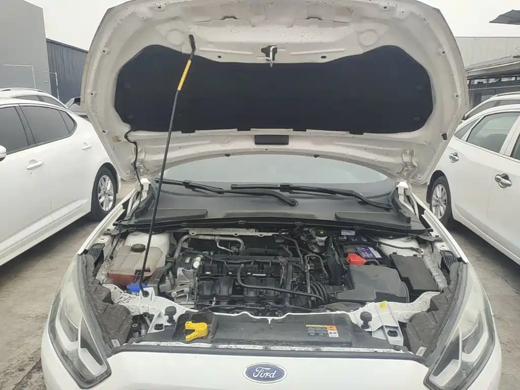 Ford Escort — миниатюра 20