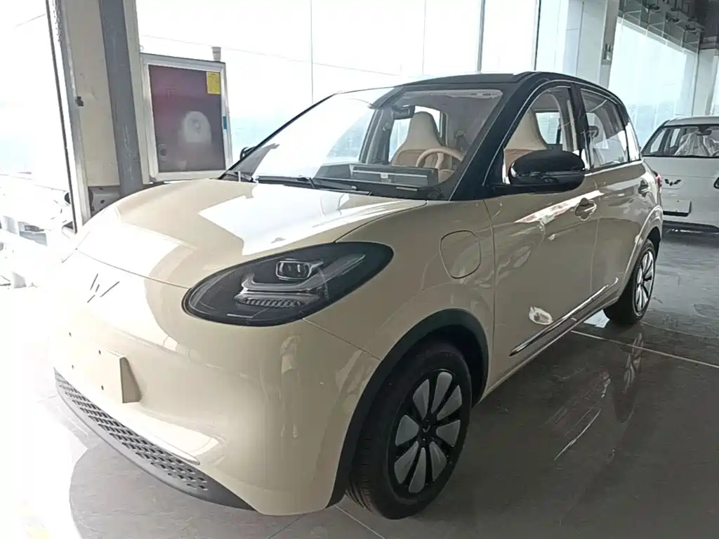 Wuling Binguo